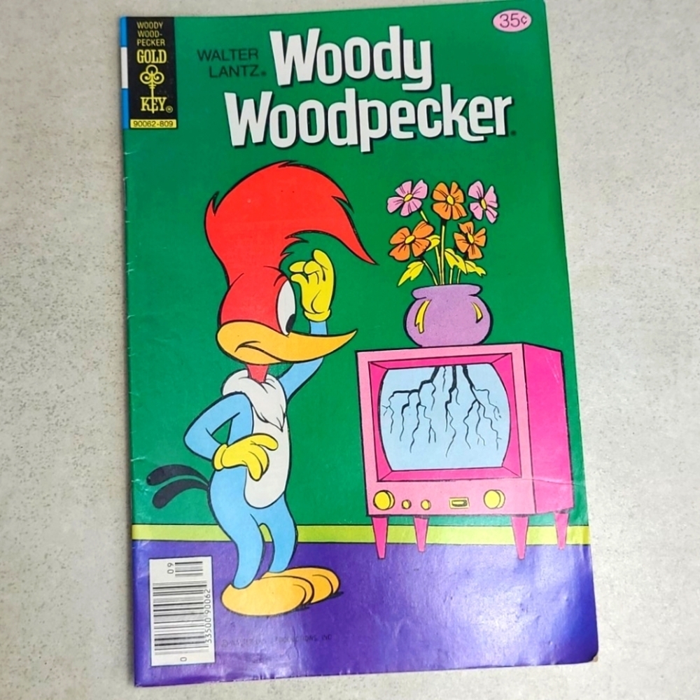 Woody Woodpecker Gold Key 70s comic book no. 170